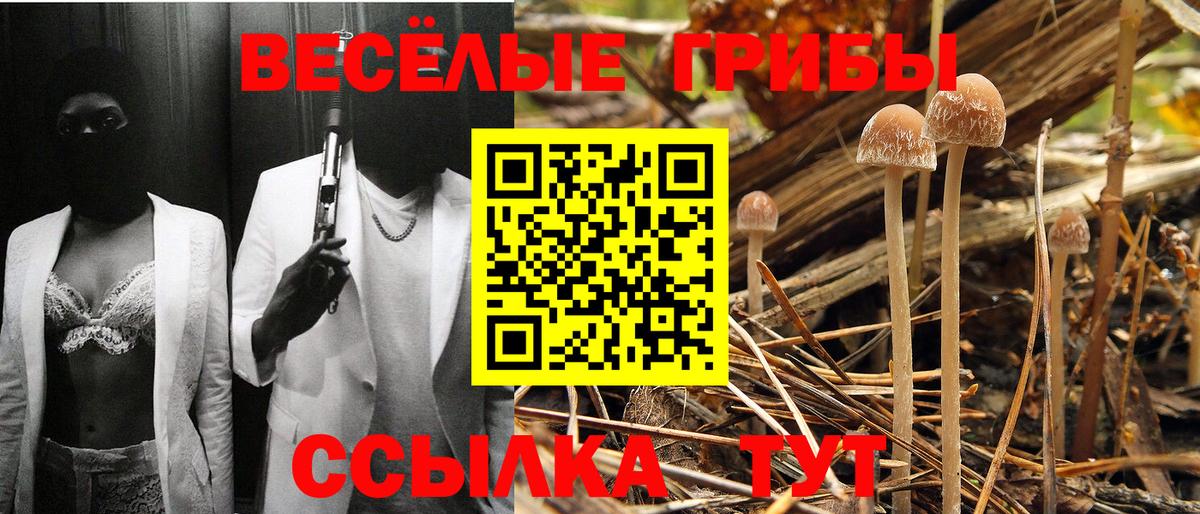 Псилоцибиновые грибы ЛСД Кинешма